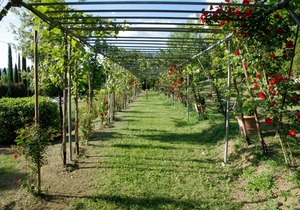 PROMOTION Leccino-Le Gorghe di Valmarino 5km from Perugia Swimming pool and WIFI