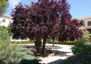 Provence Village 460.4