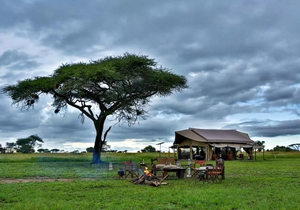 Pumzika Luxury Safari Camp