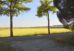 Quaint Holiday Home in Maarheeze with Terrace