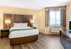 Quality Hotel & Suites