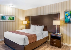 Quality Hotel & Suites