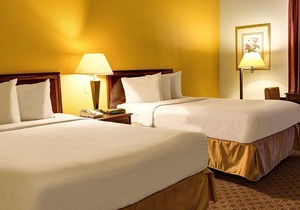Quality Inn North