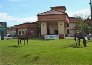 Quality Inn & Suites Casper Near Event Center