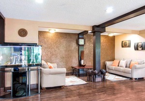 Quality Inn & Suites I 35 near AT&T Center