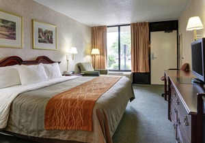 Quality Inn Tysons Corner