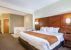 Quality Suites Springdale