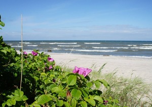 quiet apartment near the beach incl. Indoor swimming pool / sauna etc.