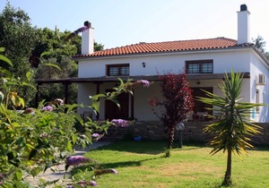 Quiet Beachside Spacious Bungalows + Amazing Seaview + Pool