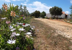 Quinta da Jolanda-Happy Family Farm