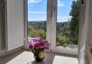 Quinta da Jolanda-Happy Family Farm