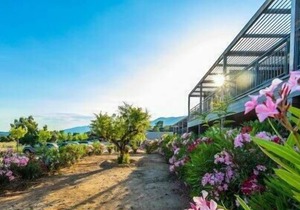 Résidence Premium Pierre & Vacances Les Terrasses d'Arsella ***** - Apartment 4 people - 1 bedroom - Air-conditioned - Terrace