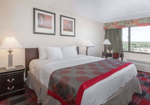 Ramada Plaza by Wyndham Albany