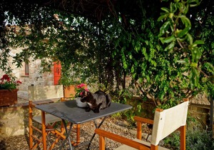 Rapolano Terme Apartment Sleeps 3