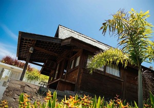 Rapture Surfcamps Bali Green Bowl