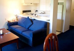 Rare Find! Awesome Unit, Free Parking, Pool, Near Alameda Ferry Terminal!