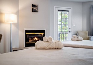 Rare Muskoka Chalet Suite - A3