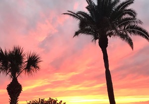 Reflections on the Gulf -Family Friendly Beach Front Condo -2 weeks minimum stay