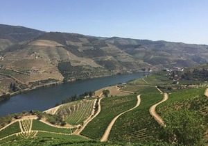 Refugio d'Anita Douro Valley House