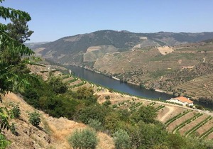 Refugio d'Anita Douro Valley House