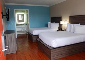 Relax and Unwind! 2 Comfortable Units, Free Breakfast & Parking!