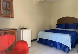 Relax in Jamaica - Enjoy 7 Miles of White Sand Beach! villa