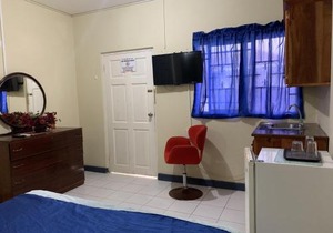 Relax in Jamaica - Enjoy 7 Miles of White Sand Beach! villa