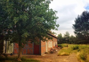 Relaxation in the beautiful Lüneburg Heath
