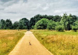 Relaxation in the beautiful Lüneburg Heath