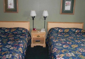 Relaxing Getaway in GuestHouse Enumclaw! 2 Pet-friendly Units, Free Parking