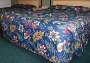 Relaxing Getaway in GuestHouse Enumclaw! 2 Pet-friendly Units, Free Parking