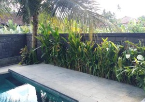 Rendira Villa