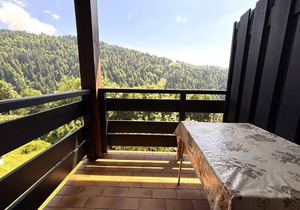 Residence Les Balcons Du Charvin - Mountain atmosphere apartment in the heart of the Espace Diamant