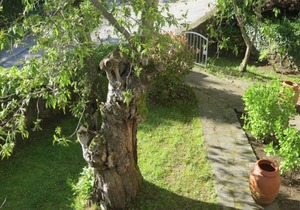 Residence a Pistoia ID 3759