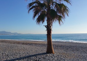 Residence Provençale Pool Parking WIFI 2 kms Sea Villeneuve Loubet 3 Rooms