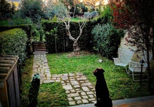 Residenza Vecchia Mola Chigi