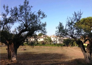 Residenza Vecchia Mola