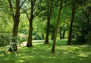 Residenze Bellaria Park "Riverside"