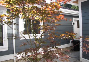 Riverfront Bed and Breakfast - Lynn Valley Room