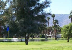 Roadrunner Club 321 - 2 Br Home