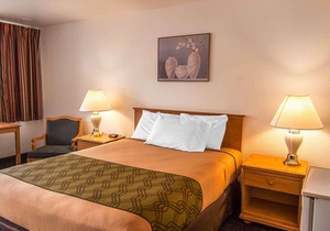 Rodeway Inn Albany