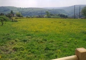 Romantic cottage in HEBDEN BRIDGE - panoramic views with BALCONY