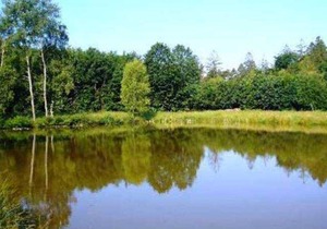 Room 4 - Gasthaus-Pension Zum Brandweiher