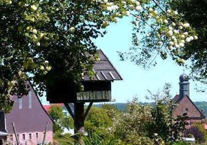 Room 4 - Gasthaus-Pension Zum Brandweiher