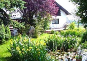 Room 5 - Gasthaus-Pension Zum Brandweiher