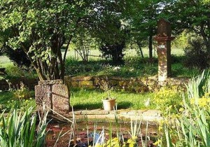 Room 5 - Gasthaus-Pension Zum Brandweiher