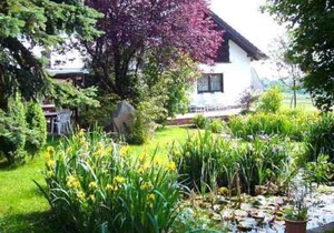 Room 5 - Gasthaus-Pension Zum Brandweiher