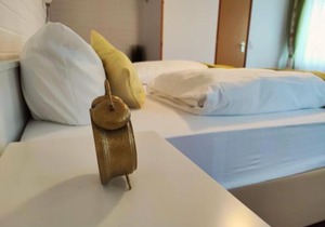 Room in Guest room - Pension Forelle - double room no01