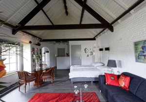 Room to rent with own entrance, living room and bathroom