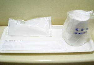 Room without meals plan A plan without meals tha/Edogawa-ku Tokyo